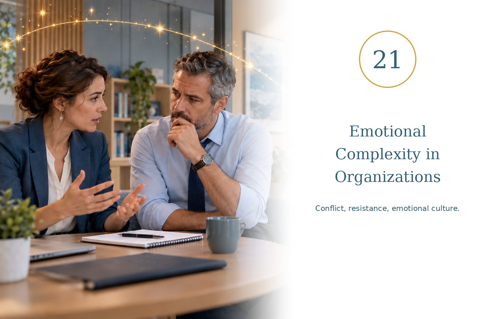 Emotional Complexity in Organizations — Conflict, resistance, emotional culture.