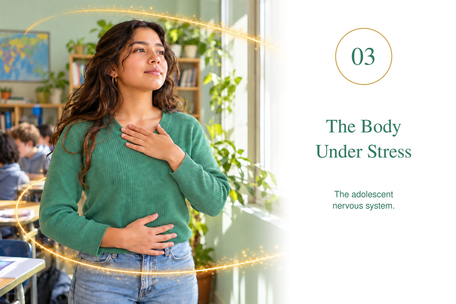 The Body Under Stress — the adolescent nervous system.