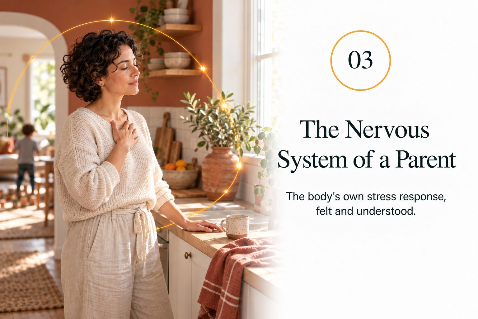 The Nervous System of a Parent — the body's own stress response, felt and understood.